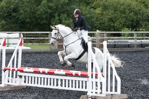 Class 6 - Fences not above 2'9